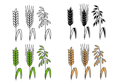 Mısır gevreği çizimleri  