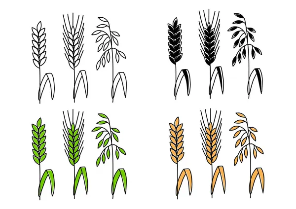 Spannmål ritningar — Stock vektor