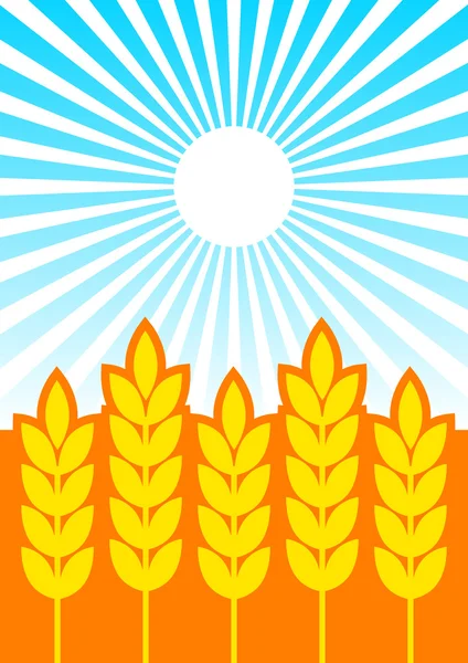 Summer field — Stock Vector