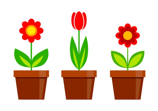 Flores rojas sobre fondo blanco — Vector de stock