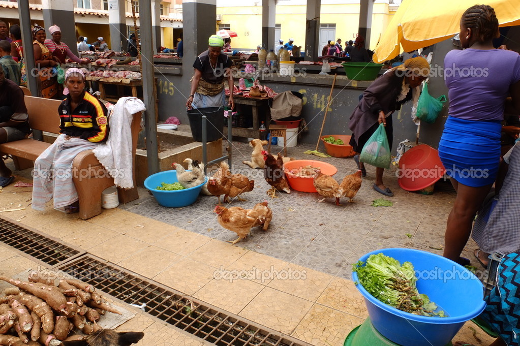 Chickens to sell at the African market. Stock Editorial Photo © allg