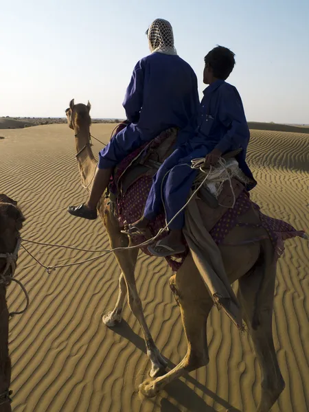 Camel drivers — Stock Photo, Image