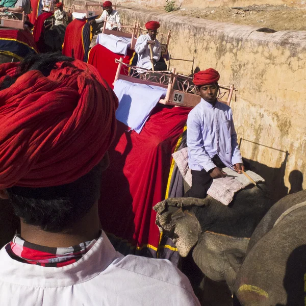 Cornacs leader des éléphants . — Photo