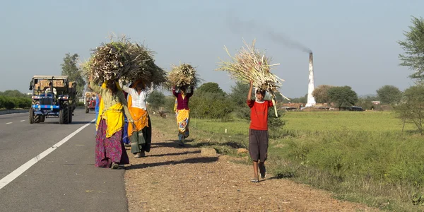 Gruppe von Indianern trägt Feuerholz. — Stockfoto