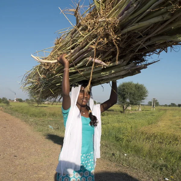 Indian teen carrying reeds on the head. — Stock Photo, Image