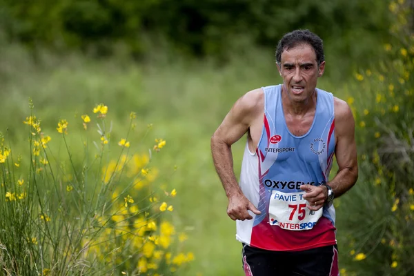 Loper met stekelbrem alles om hem heen — Stockfoto