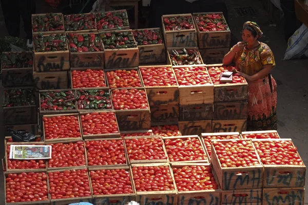 女性は多くのトマト箱を販売しています。. — ストック写真