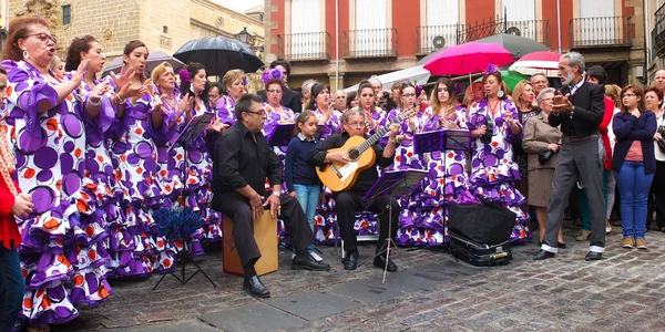 Andaluská folková skupina. — Stock fotografie