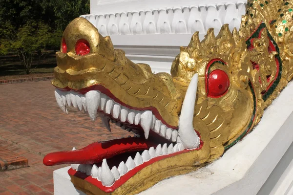 Голова золотой змеи . — стоковое фото