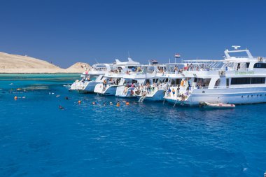 Red sea, Mısır