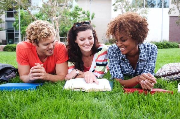 Grupo de estudiantes universitarios felices en la hierba — Foto de Stock