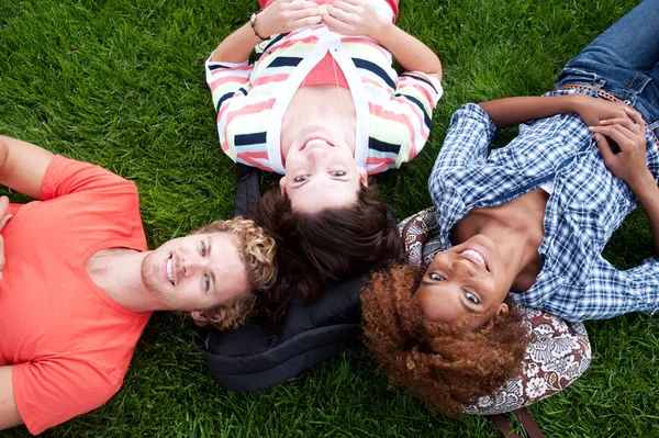 Grupo de estudantes universitários felizes na grama — Fotografia de Stock