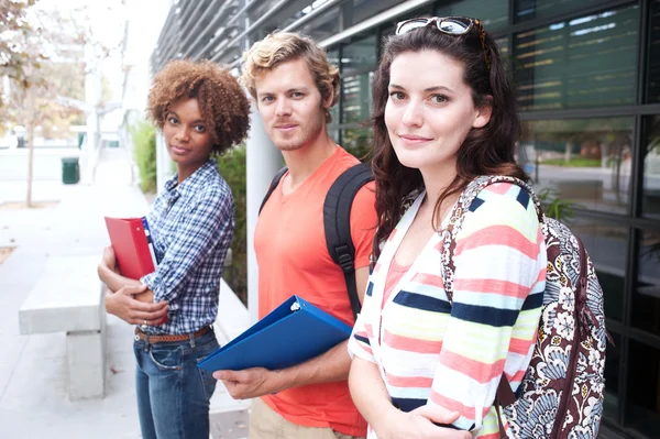 Happy group of college students Royalty Free Stock Photos