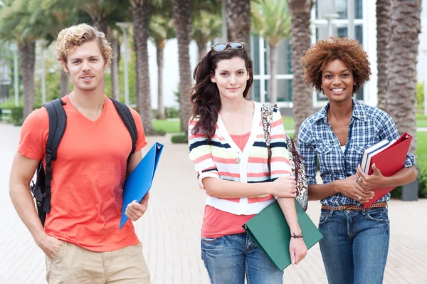 Happy group of college students Stock Image