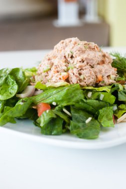 taze doğranmış ton balıklı salata