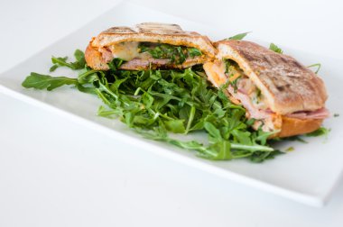 hindi peynirli sandviçle panini