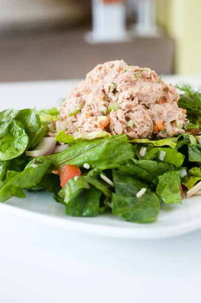 Taze doğranmış ton balıklı salata — Stok fotoğraf
