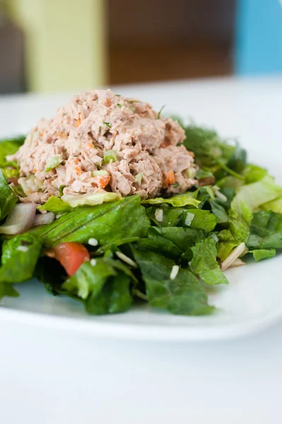 Färsk hackad tonfisk sallad — Stockfoto