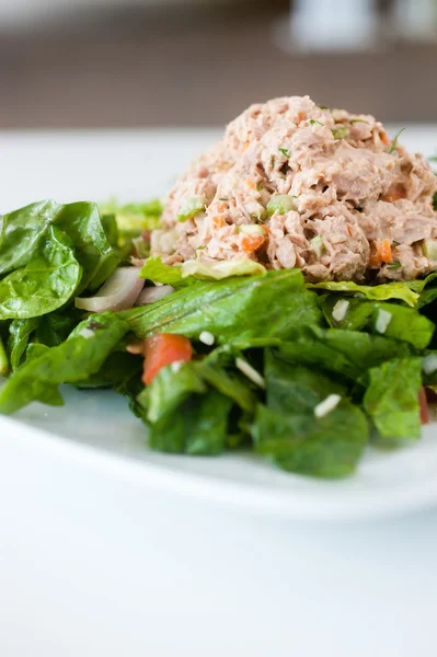 Taze doğranmış ton balıklı salata — Stok fotoğraf