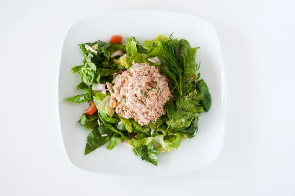 Taze doğranmış ton balıklı salata — Stok fotoğraf