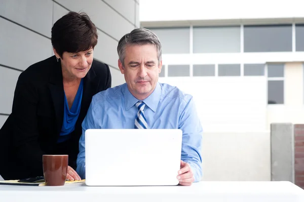 Happy working business team in modern office — Stock Photo, Image