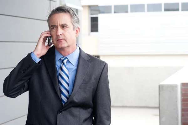 Portrait of a businessman on the phone — Stock Photo, Image