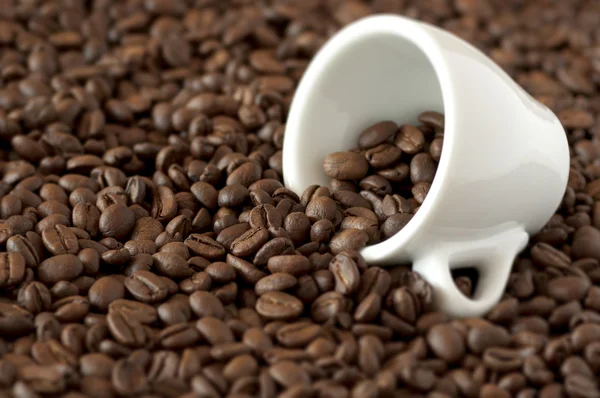 Tasse auf Kaffeebohnen — Stockfoto
