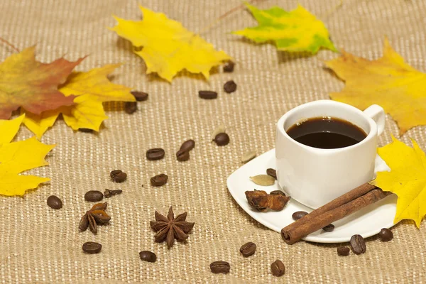 Höstens kopp kaffe — Stockfoto