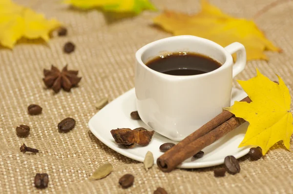 Autumn cup of coffee — Stock Photo, Image