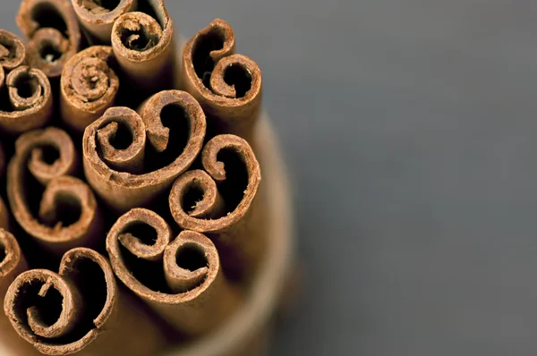 Bunch of cinnamon bark (sticks) — Stock Photo, Image