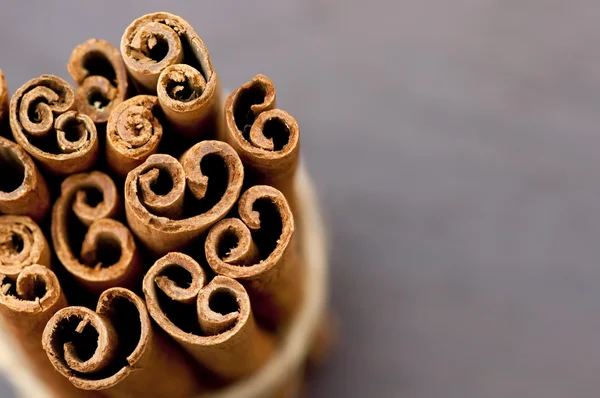 Bunch of cinnamon bark (sticks) — Stock Photo, Image