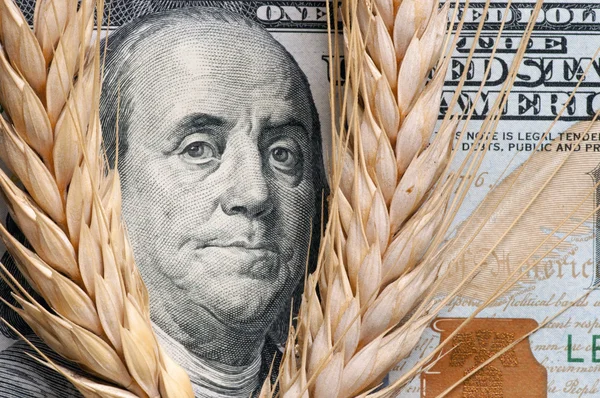 Wheat on bank note — Stock Photo, Image