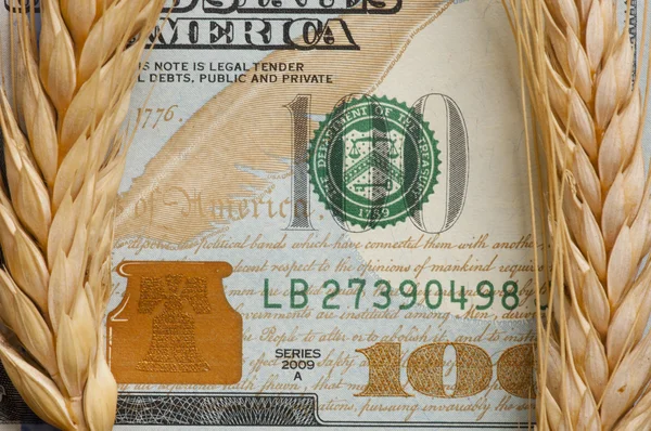 Wheat on bank note — Stock Photo, Image