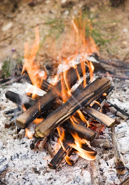 Camping bonfire with ash — Stock Photo, Image