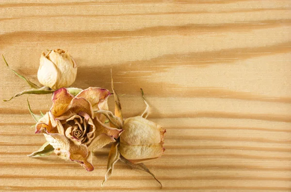 Dry rose flowers on rough wooden table — Stock Photo, Image