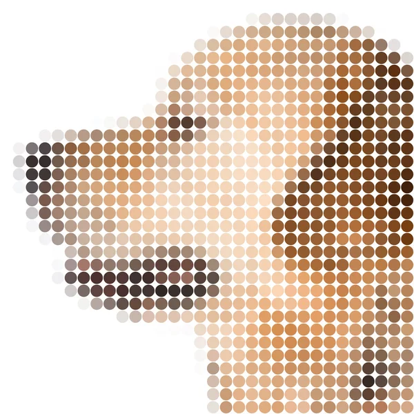 Runda pixel bild av en hund — Stockfoto