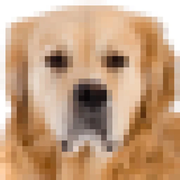 Pixel großes Bild des Hundes — Stockfoto