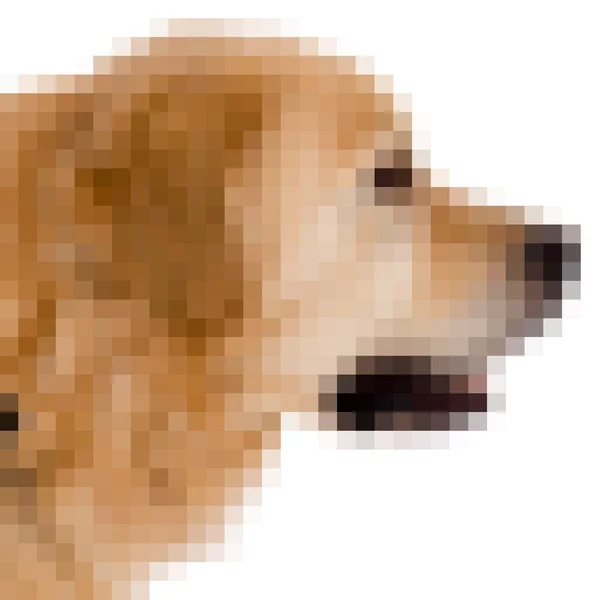 Square pixel image of a dog — Stok Foto