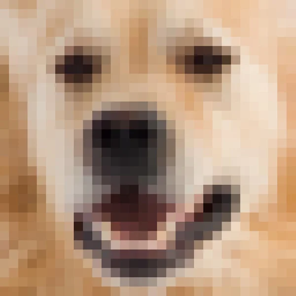 Čtvercové pixely obrazu psa — Stock fotografie