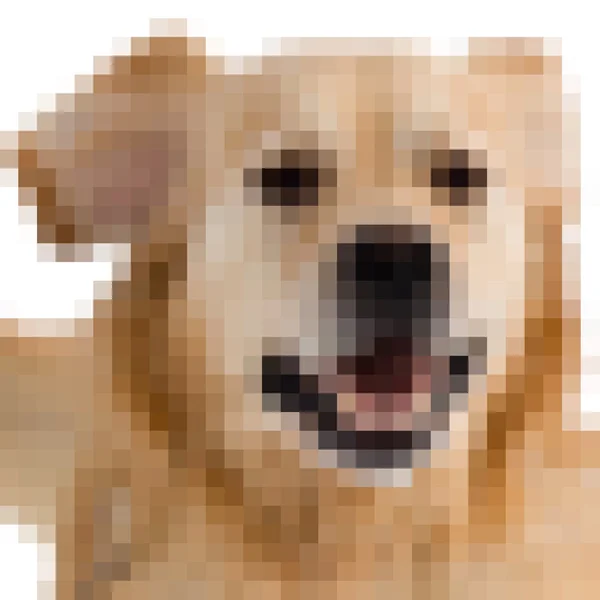 Vierkante pixels afbeelding van een hond — Stockfoto