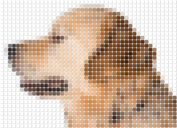 方形圆角像素的图像的狗 — 图库照片