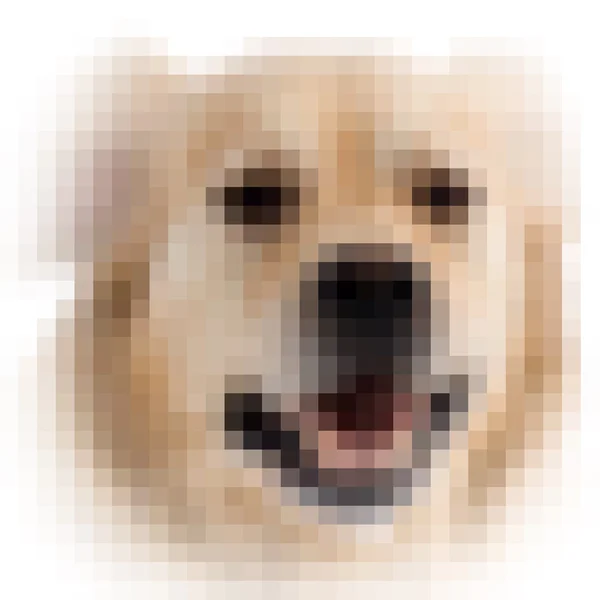 Square pixels image of a dog with vignette — Stock Photo, Image