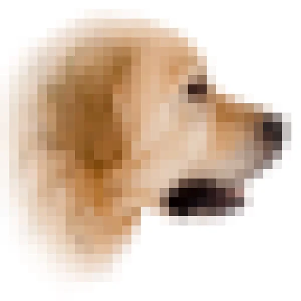 Square pixel image of a dog with vignette — Stok Foto