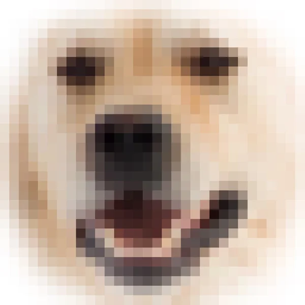 Square pixels image of dog with vignette — Stock Photo, Image