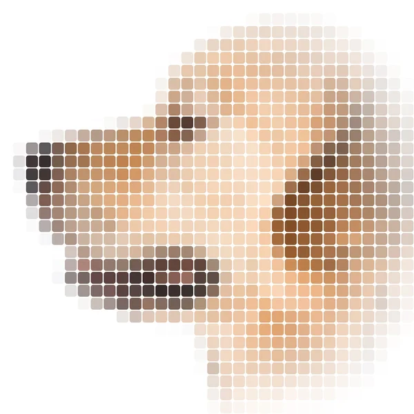 Square rounded pixel image of dog with white vignette — Stock Photo, Image