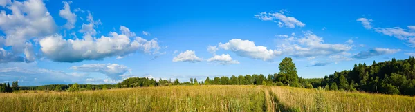 Panorama of clouds and meadow — Stock Photo, Image