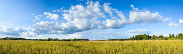 Panoramablick auf Wolken und Wiese — Stockfoto