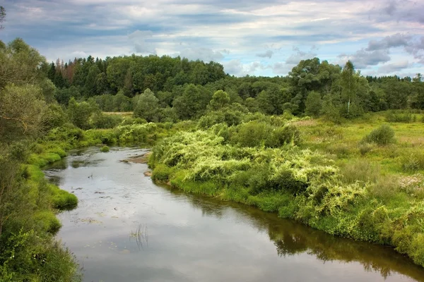 Rivier in platteland in bewolkte dag — Stockfoto