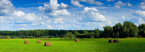 Panorama of field with haystacks under clouds — Stock Photo, Image