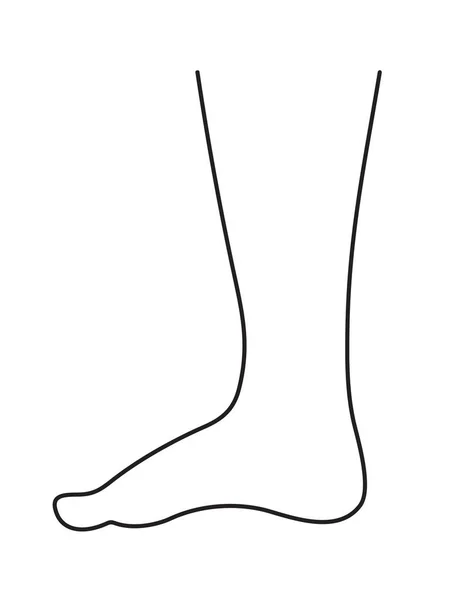 人体足部插图 男腿或女腿 线条画图 — 图库矢量图片